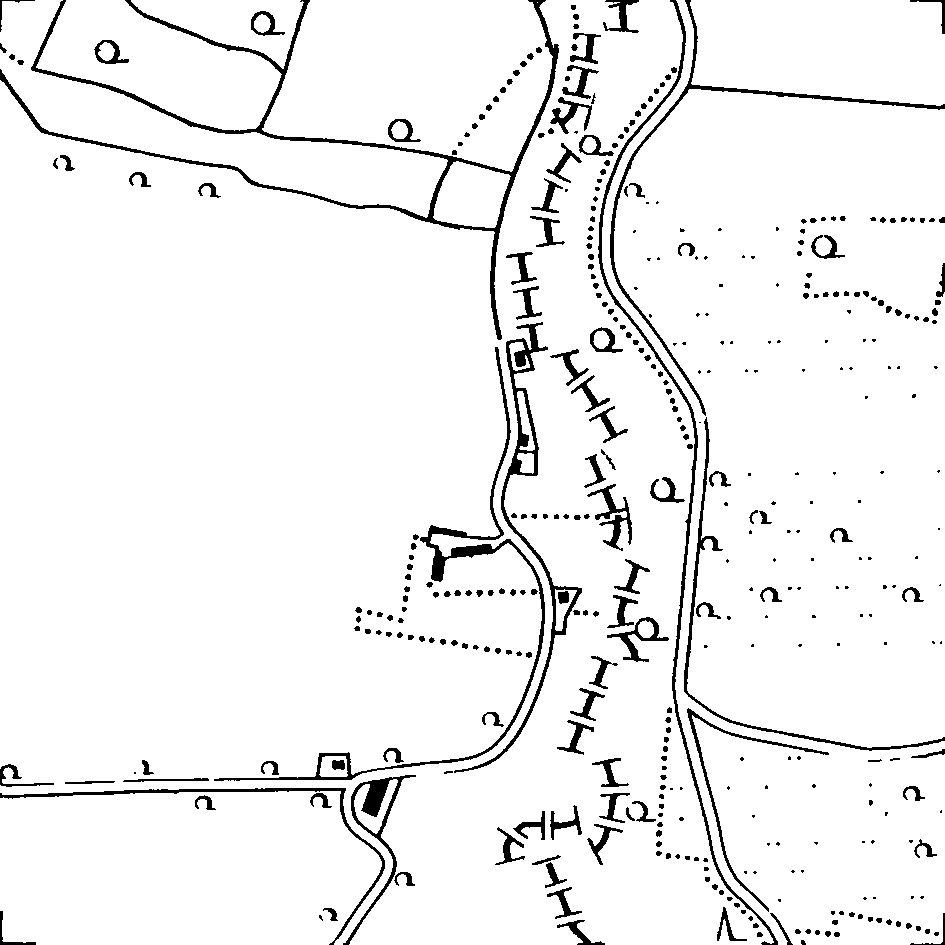 k9